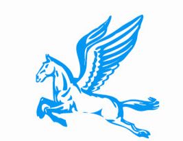 Beijing Tianma Sling Co., Ltd. Logo
