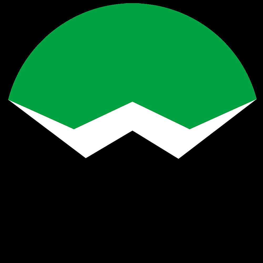 Ningbo Somewang Packaging Co., Ltd. Logo