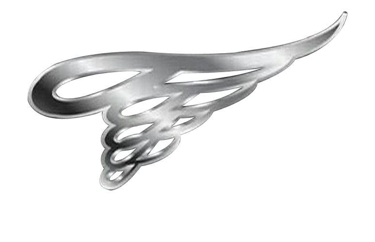 Hebei Tengfei Wire Mesh Co., Ltd. Logo