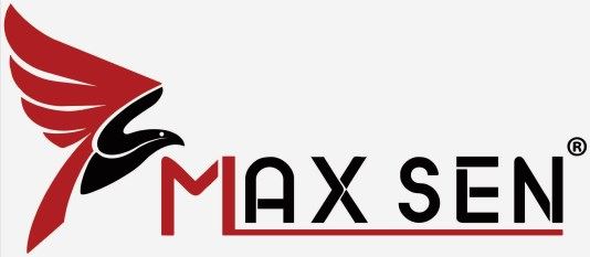 Shanghai Maxsen Machinery Co., Ltd. Logo