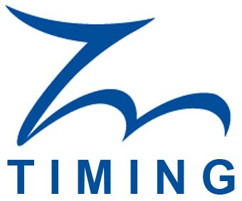 Wuhan Timing Weiye Technology Co., Ltd. Logo