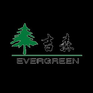 Shouguang Evergreen Wood Co., Ltd. Logo