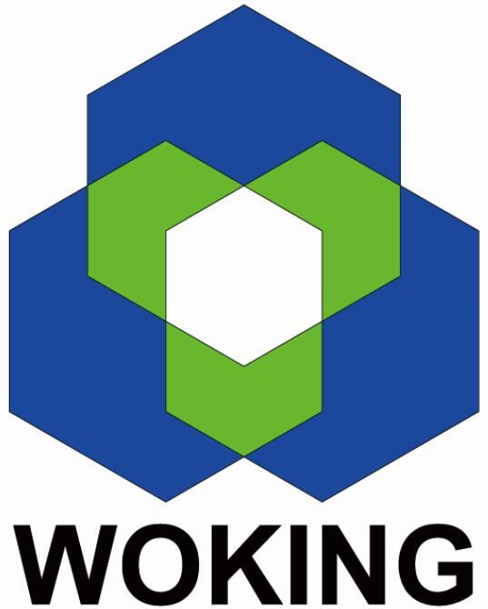 Woking Environmental Technology Co., Ltd. Logo