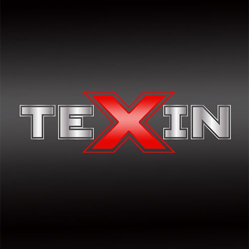 Shandong Texin Technology Co., Ltd. Logo