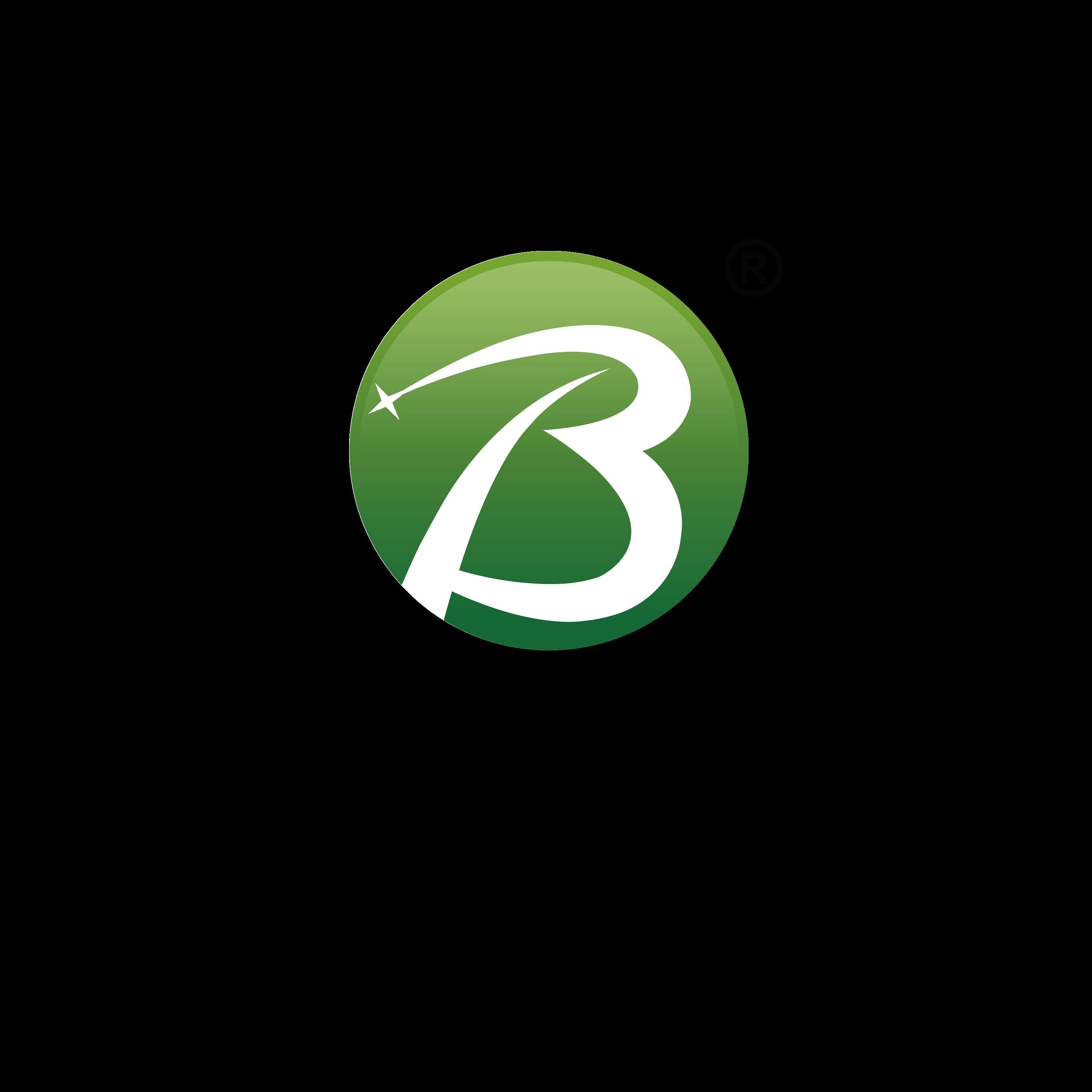 Bornic Fluid Technology Co., Ltd. Logo