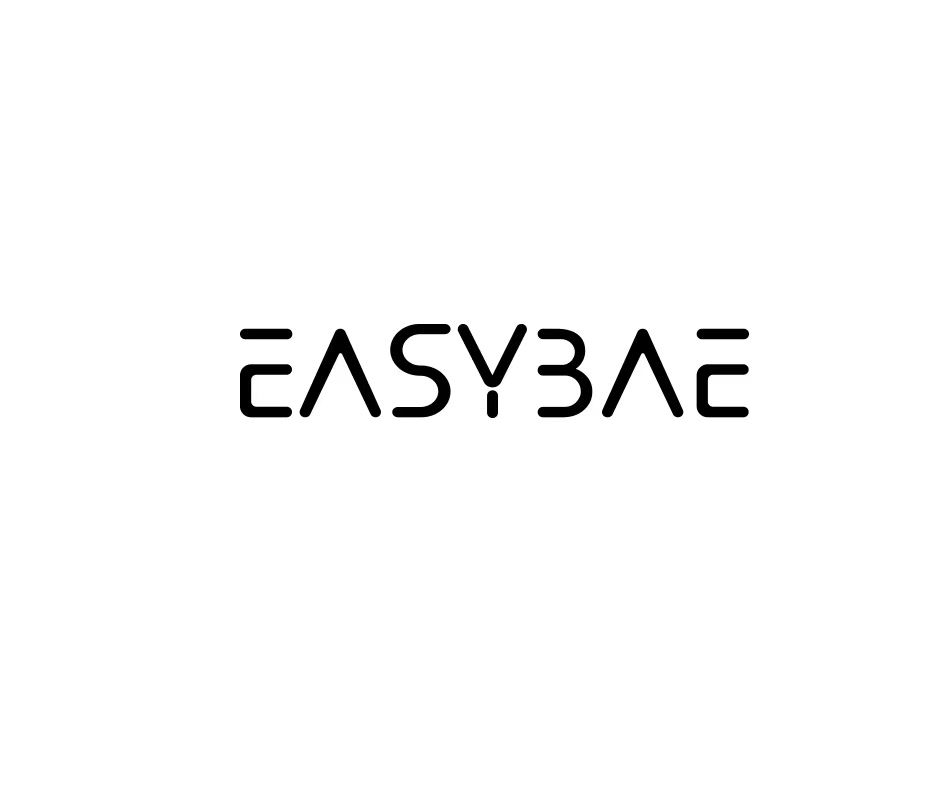 Dongguan Easybae Technology Co., Ltd. Logo