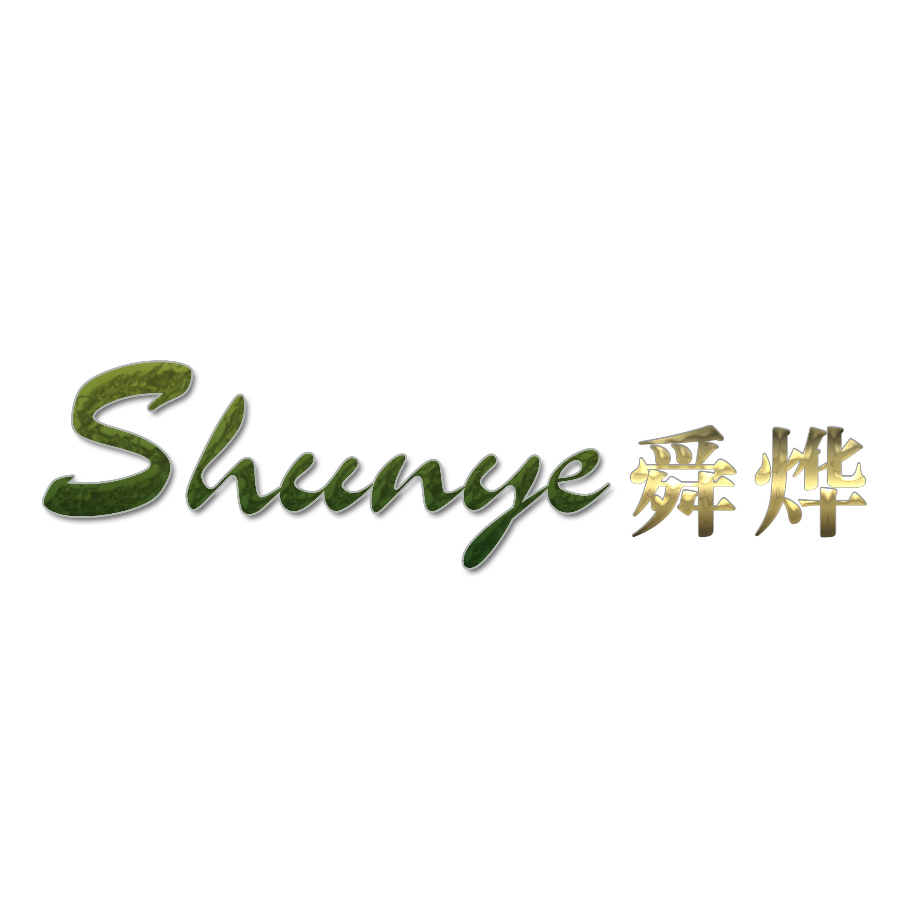 Ningbo Shunye Electrical Appliances Co., Ltd. Logo